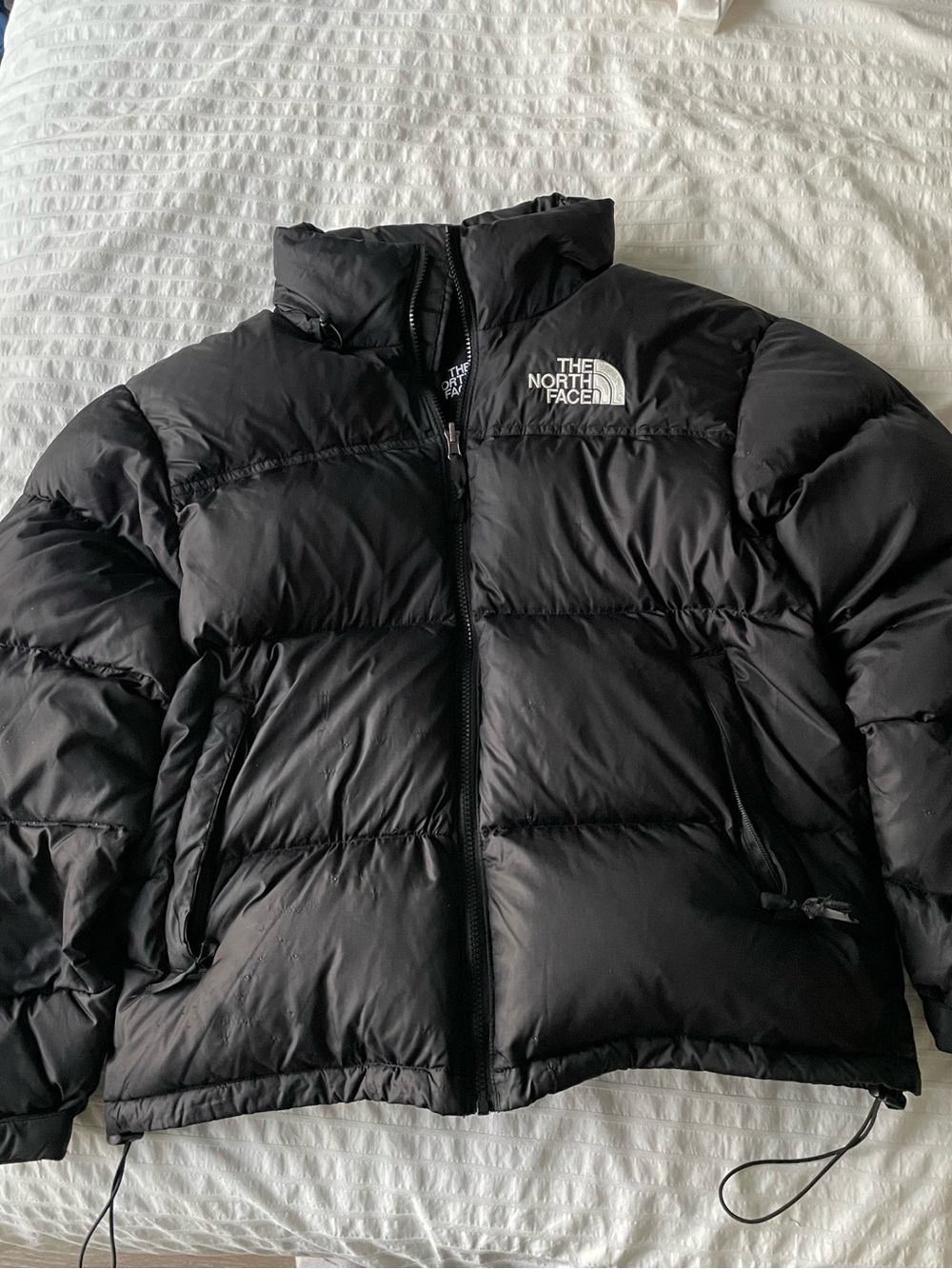 The North Face Black Men's Down Puffer Jacket